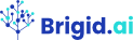 cropped-brigid-ai-logo.png